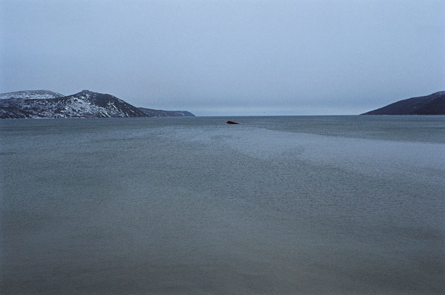 Schiff 2