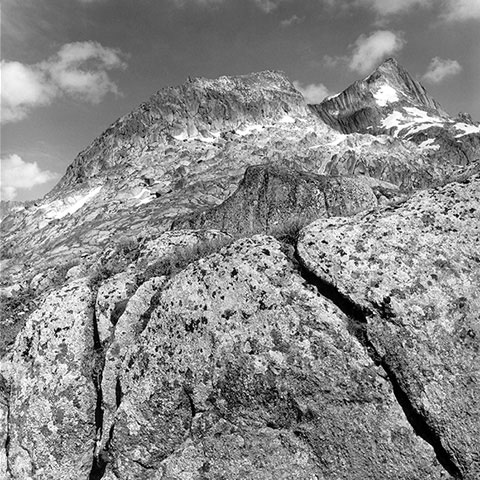 Fleckenhorn