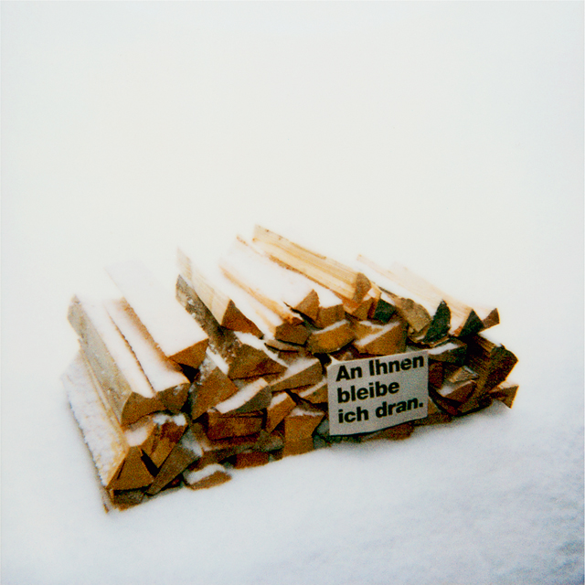 Holz (an Ihnen bleib ich dran)